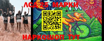 гашик Можга