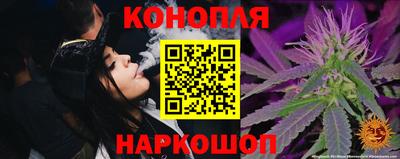 гашик Можга