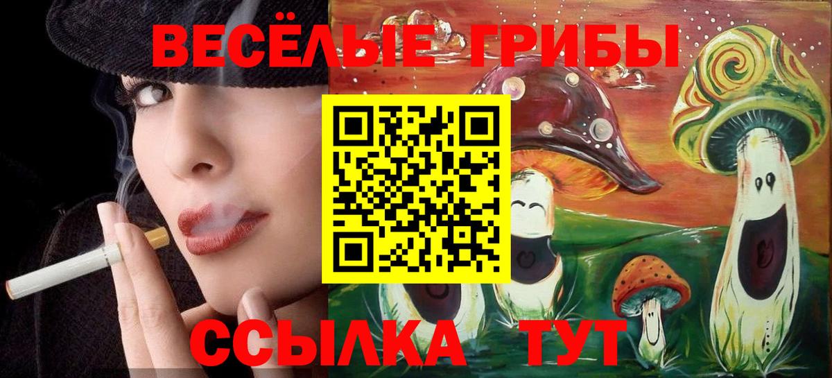 Псилоцибиновые грибы Psilocybe  Вход с VPN  Галлюциногенные грибы Cubensis  Клинцы 