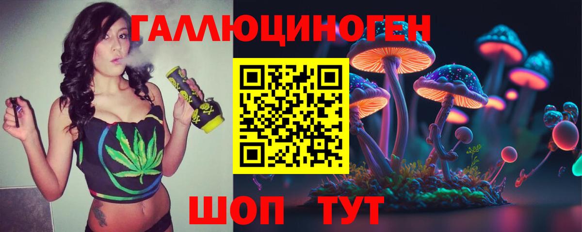 Псилоцибиновые грибы Psilocybe Клинцы