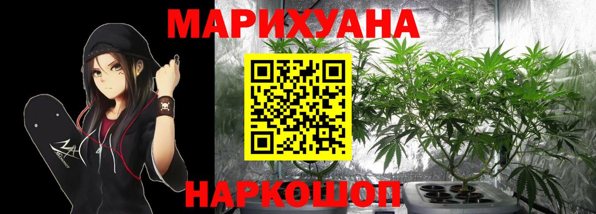 Конопля план Клинцы